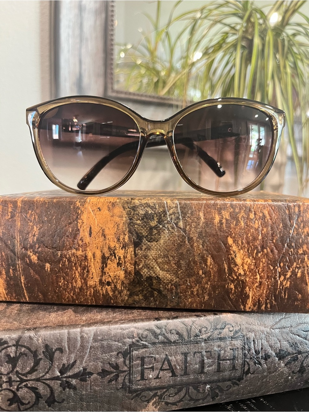 Jones New York Women's Translucent Brown Gradient Cat-Eye Sunglasses